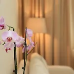 Otel Leone Međugorje