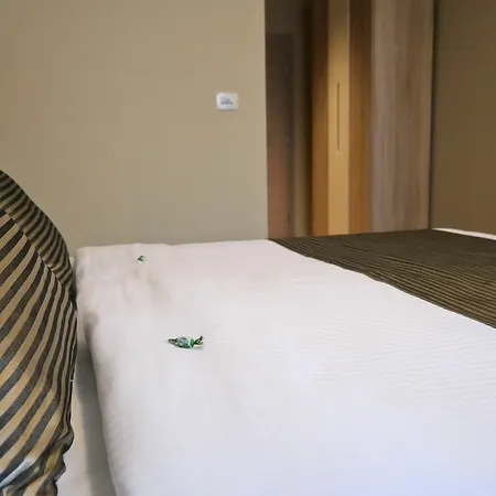 Leone Меджугорье